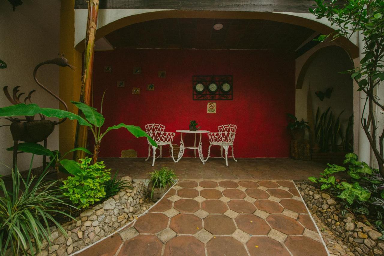 Las Mariposas Hotel & Studios Oaxaca Zewnętrze zdjęcie