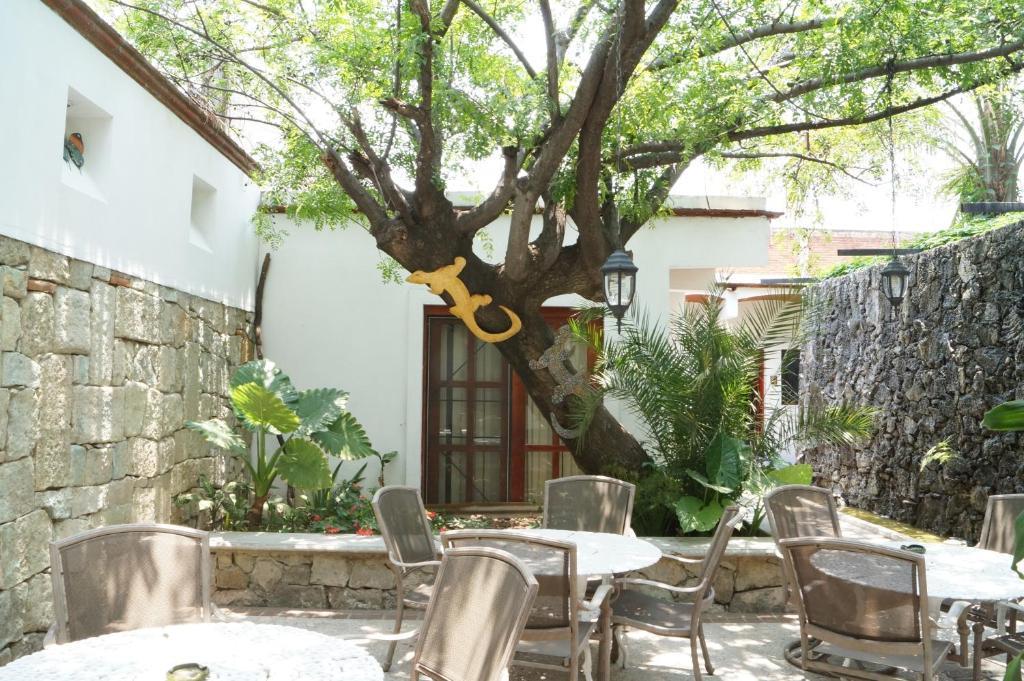 Las Mariposas Hotel & Studios Oaxaca Zewnętrze zdjęcie